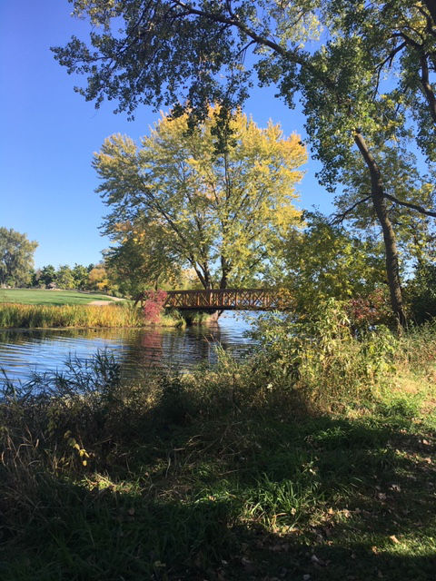 Fall color in Winona